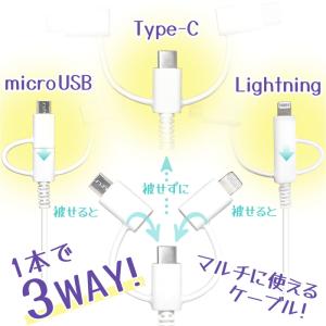 タイプCケーブル ライトニングケーブル マイク...の詳細画像1