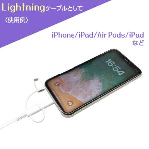 タイプCケーブル ライトニングケーブル マイク...の詳細画像3