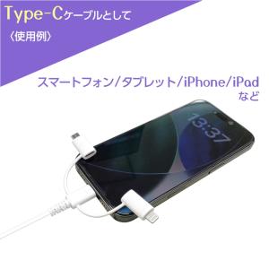 タイプCケーブル ライトニングケーブル マイク...の詳細画像4