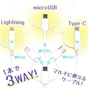 タイプCケーブル ライトニングケーブル マイク...の詳細画像1