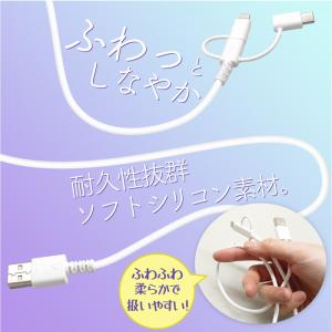 タイプCケーブル ライトニングケーブル マイク...の詳細画像2