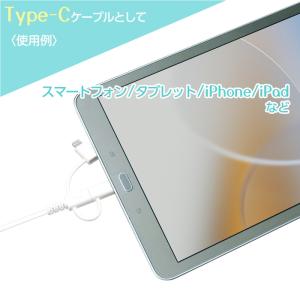 タイプCケーブル ライトニングケーブル マイク...の詳細画像4