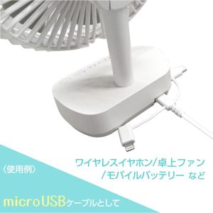 タイプCケーブル ライトニングケーブル マイク...の詳細画像5