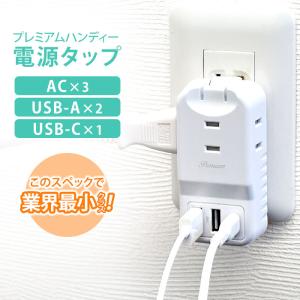 電源タップ usb type-c AC コンセント タップ タイプC typec ACアダプタ コンパクト ミニ 携帯 USB-A USB-C PD30W対応 折り畳みプラグ 持ち運び ホワイト 白｜airs