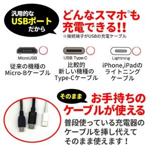乾電池式 充電器 乾電池 USB 1A iPh...の詳細画像4