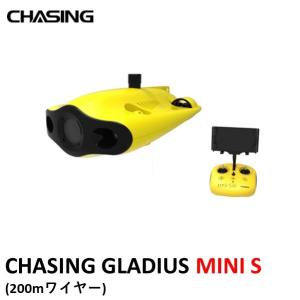 CHASING GLADIUS MINI S (200ｍワイヤー)【外箱潰れ有り】