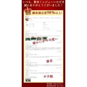 セラミックヒーター 小型 速暖 省エネ 電気ス...の詳細画像2