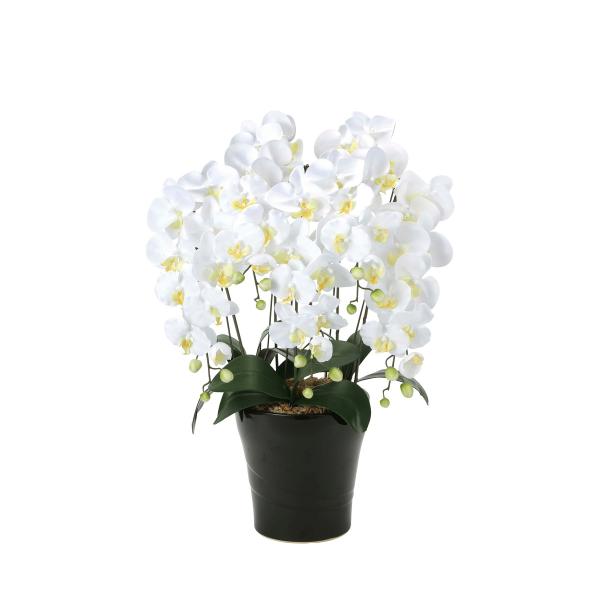 クイーン胡蝶蘭5本立Ｗ 654A150 W53×D50×H74cm 2024年版 人工観葉植物 光の...