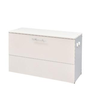 ガルバ使用ゴミ保管庫 幅100奥行38 A135 2403 W100×D38×H63.5cm 176L 45Lごみ袋約3個 約2世帯  大型ゴミ箱　足立製作所