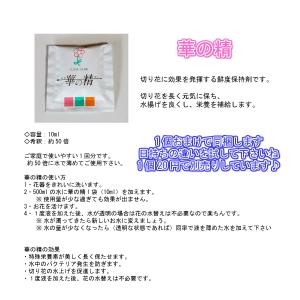 産地直送 ガーベラ1本75円 お好きな本数を花...の詳細画像3