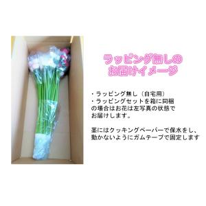 産地直送 ガーベラ1本65円 お好きな本数を花...の詳細画像2