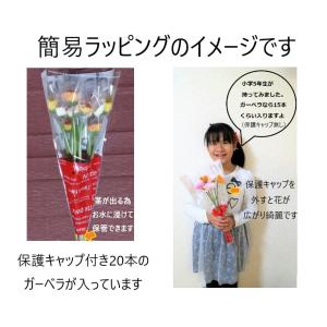 産地直送 ガーベラ1本65円 お好きな本数を花...の詳細画像5