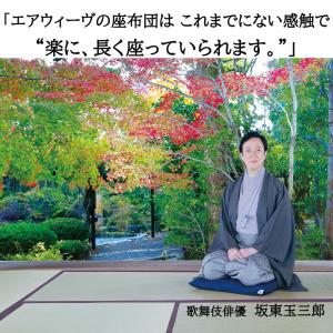 エアウィーヴ 座布団 銘仙判 クッション ビッ...の詳細画像5