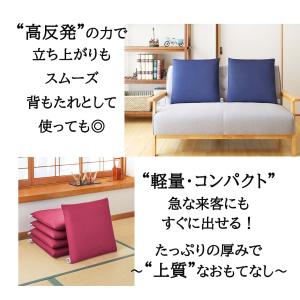 エアウィーヴ 座布団 クッション フロア 畳 ...の詳細画像5