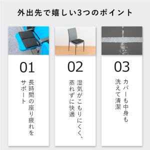 エアウィーヴ キャリークッション miniの詳細画像2