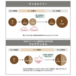 耳あな型デジタル補聴器 アクトスITC HT-...の詳細画像5