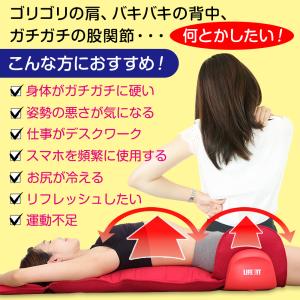 マッサージシート ライフフィット エアーストレ...の詳細画像2
