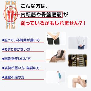 ライフフィット Vトレアプローチ 特典付 内転...の詳細画像2