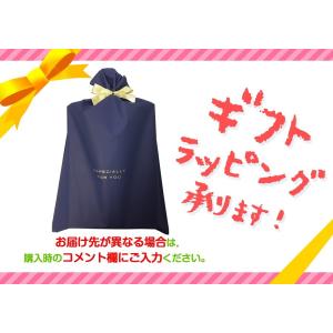 補聴器 ニコン Nikon ポケット型 デジタ...の詳細画像2