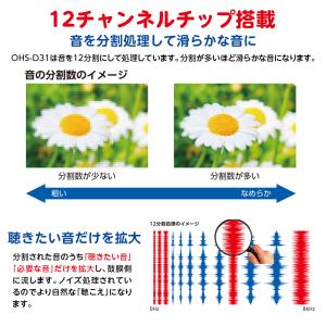 補聴器 耳あな型 ONKYO OHS-D31 ...の詳細画像3