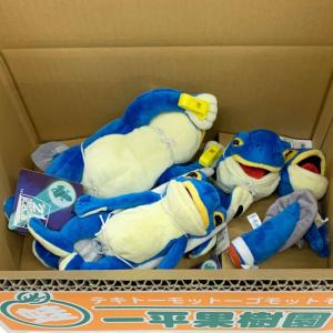 青の蛙セットマーク2 ※おまけ付き