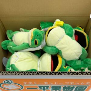 緑の蛙セットマーク2 ※おまけ付き