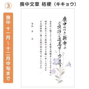 喪中 寒中見舞い 文章印刷済み 20枚 年賀状...の詳細画像4