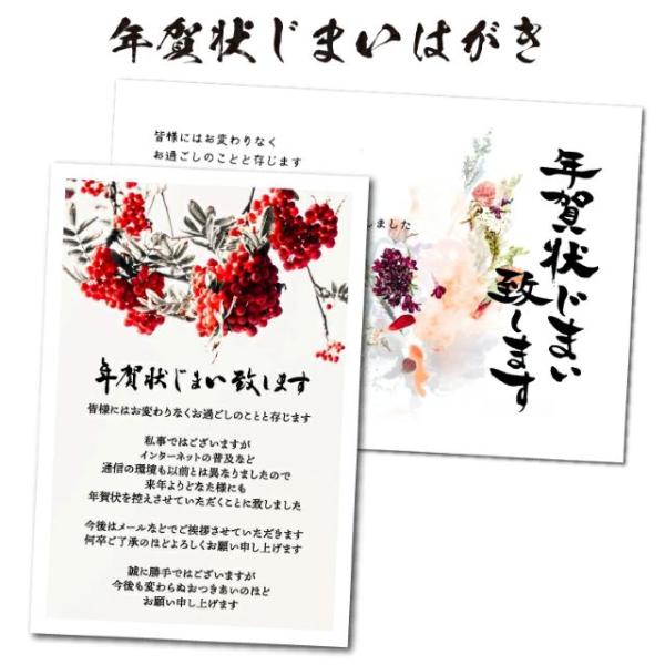 年賀状じまい ハガキ 文章印刷済み 10枚入 旧商品 年賀状辞退 年賀状仕舞い はがき やめる やめ...