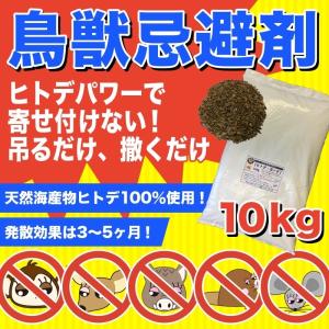 ヒトデ 忌避 剤 【 ヒトデガード 】 大袋1...の詳細画像3