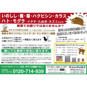 ヒトデ 忌避 剤 【 ヒトデガード 】 大袋1...の詳細画像4