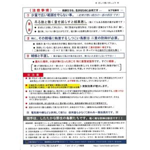 ヒトデ 忌避 剤 【 ヒトデガード 】 大袋1...の詳細画像5