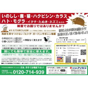 ヒトデ 忌避 剤 【 ヒトデガード 】 大袋1...の詳細画像4
