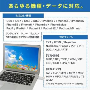 電子版マニュアル有り【i-Flash Devi...の詳細画像2