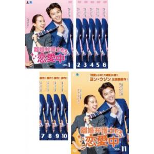 離婚弁護士は恋愛中 全11枚 第1話〜第22話 最終 【字幕】 全巻セット