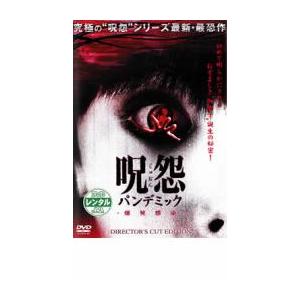 呪怨 パンデミック ディレクターズカットエディション DVD ホラーの商品画像