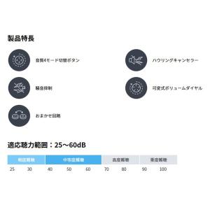 補聴器 Nikon ニコン・エシロール 耳穴型...の詳細画像5