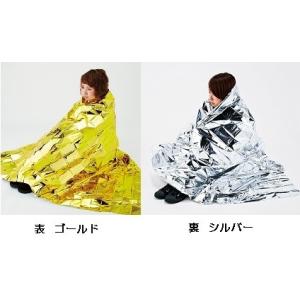リバーシブル アルミブランケット ST-37 ...の詳細画像1