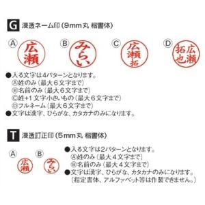 キャップレスネーム印 ツインGT キャップレス...の詳細画像1