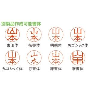 サンビー クイックネーム キャップレスネーム印...の詳細画像2