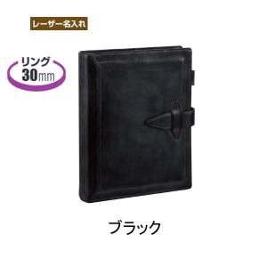 ダ・ヴィンチ グランデ A5サイズ システム手帳 ロロマクラシック 