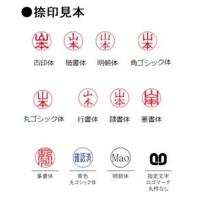 サンビー クイックネームペン2+1 ジェットス...の詳細画像2