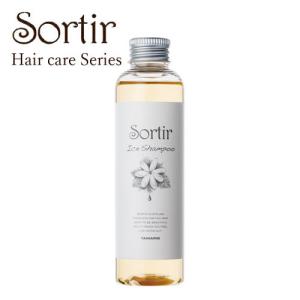 ソルティール タマリス アイスシャンプー 1000ml＆アイスサプリ