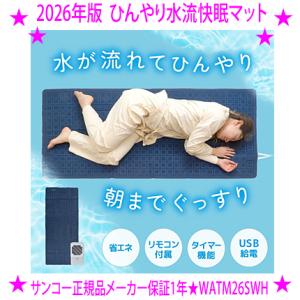 新品】アムウェイ ニュートリライト バランスリープ ピロー Amway