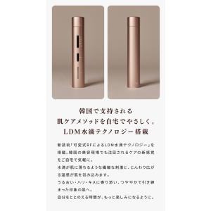 SELINI LDM BOOST PRO セリ...の詳細画像2