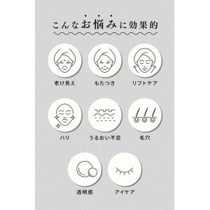 SELINI LDM BOOST PRO セリ...の詳細画像4