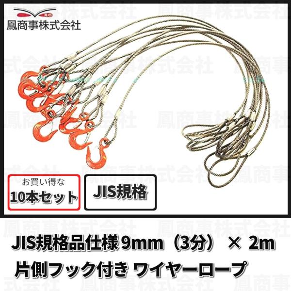 鳳商事株式会社 Φ9mm(3分) フック付ワイヤーロープ 10本セット (2m) 玉掛け メッシュパ...