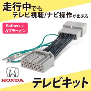 LXU-242NBi ホンダ ギャザズ HDMI変換ケーブル カーナビ タイプE オス