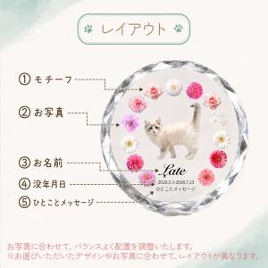 ペット位牌 クリスタル位牌 名入れ 写真入り ...の詳細画像2
