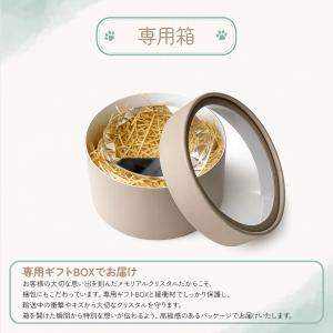 ペット位牌 クリスタル位牌 名入れ 写真入り ...の詳細画像5