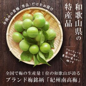 完熟 南高梅 3〜4Lサイズ 2kg 秀品の詳細画像1